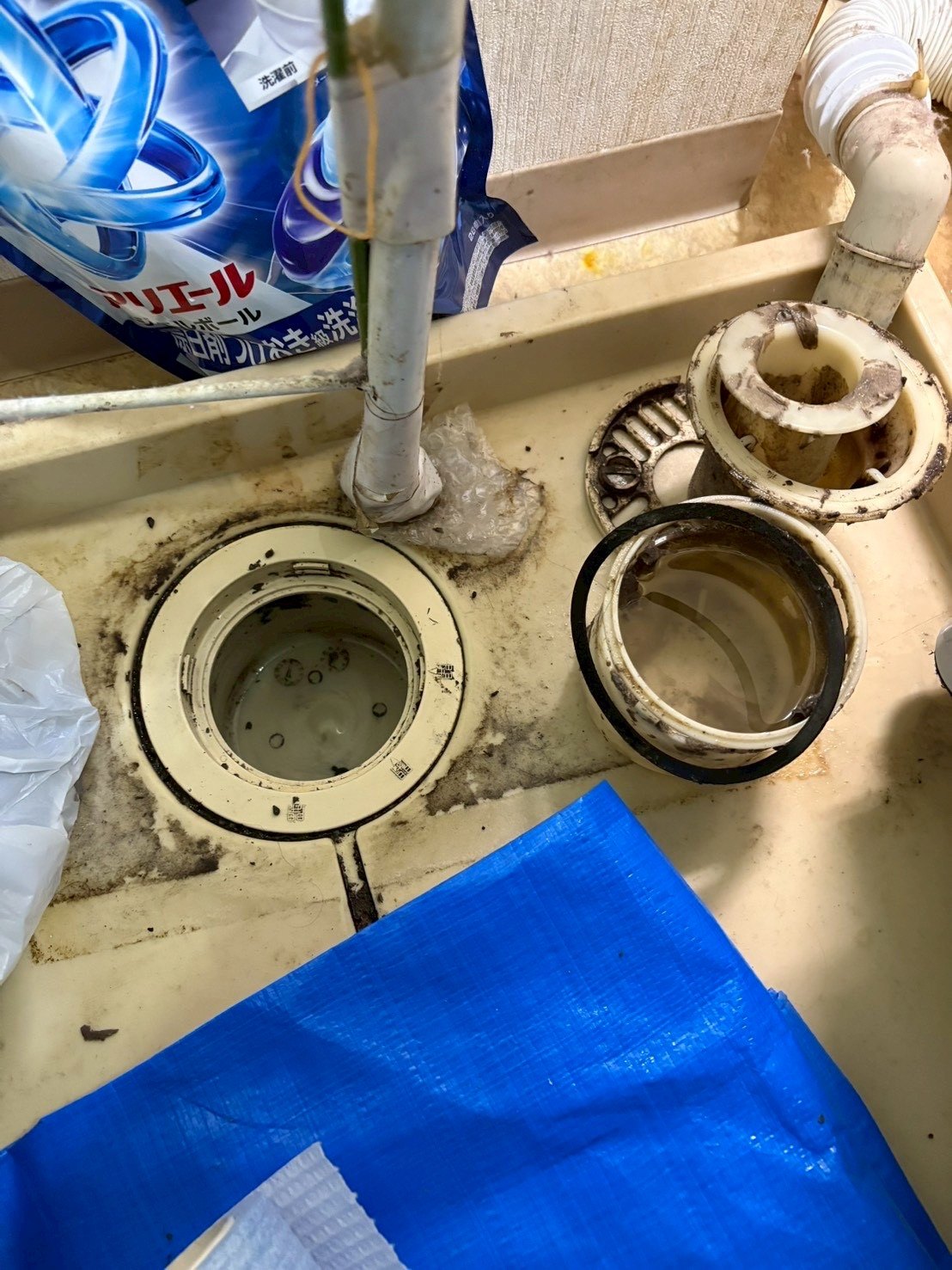 札幌市厚別区 洗濯機 排水溝 清掃